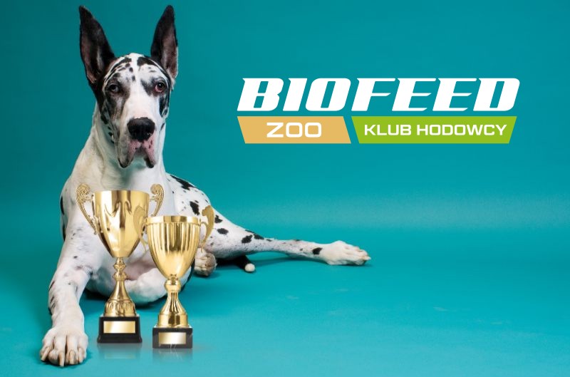 jak-zostac-czlonkiem-klubu